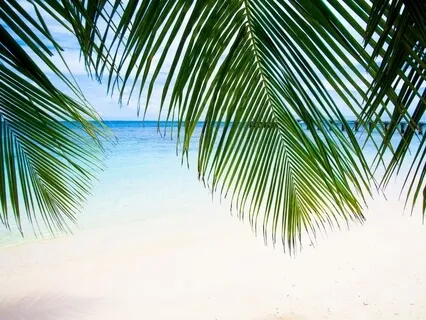 Zen Drumming By The Sea
