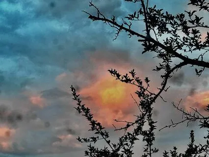 Zen: Eihei Dogen's Mind Or No Mind