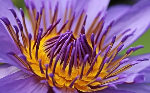 Zen Emotions Meditation W 528Hz Binaural Beats-UCLA Research