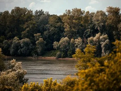 Zen Energy: Recharge And Relax