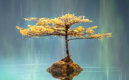 Zen Flow - Atmospheric Healing W/ Binaural Beats