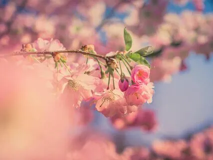 Zen Focus: 963 Hz For Stress Relief And Spiritual Awakening