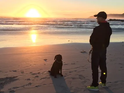 Zen Full Body Scan  (25 Minutes)