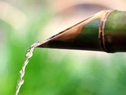 Zen Garden: Bamboo Water Fountain Music