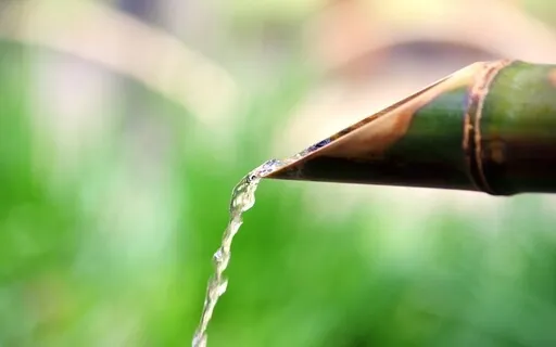 Zen Garden - Mindful Music Collection - Patrick Lynen