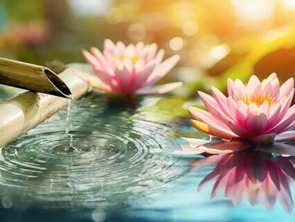 Zen Garden ~ Music For Deep Rest & Nervous System Calm