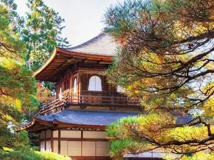 Zen Garden Serenity – Kyoto Sleep Ambience