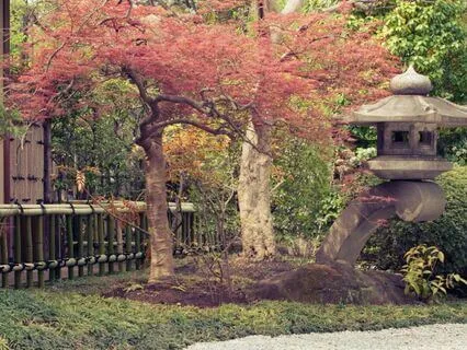 Zen Garden