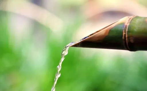 Zen Garten: Beruhigende Musik für jede Gelegenheit