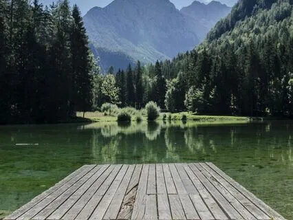 Zen Healing Sleep Music