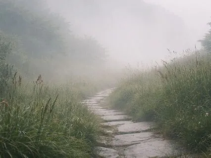 Zen Koan Practice — Case 4: Seeking Liberation