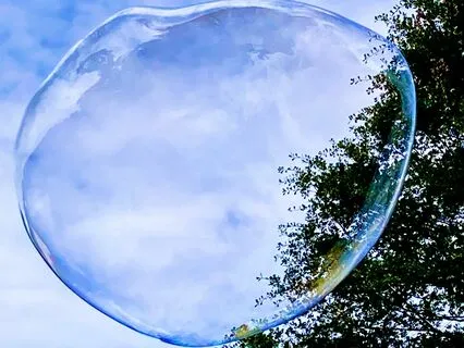 Zen Mind, Haiku Mind