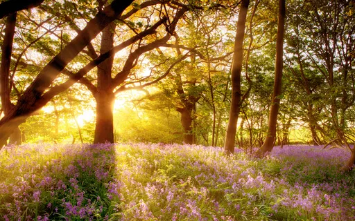 Zen Music In The Garden