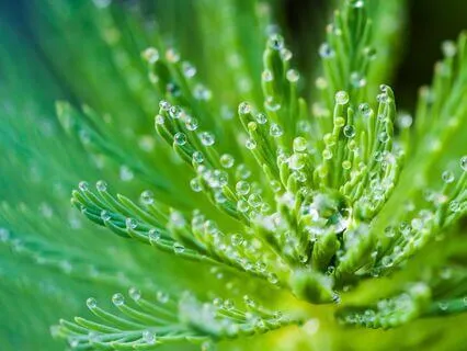 Zen Night Reflections - Restorative Meditation Music