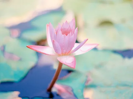 Zen Parables: Empty Your Cup