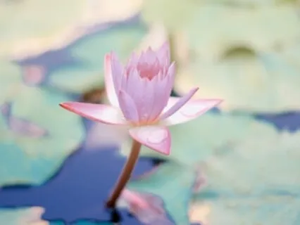 Zen Parables - Everything Changes