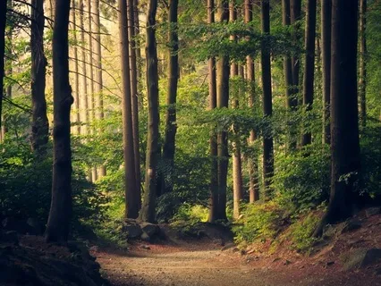 Zen Prayers For Accepting Reality