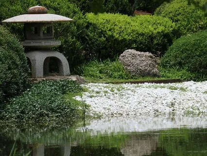 Zen Relaxation: The Art Of Observing - Meditation 73