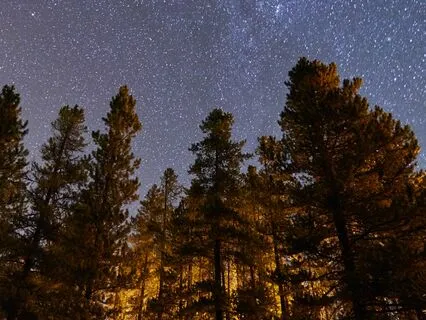 Zen Slumber: Tranquility For Restful Nights