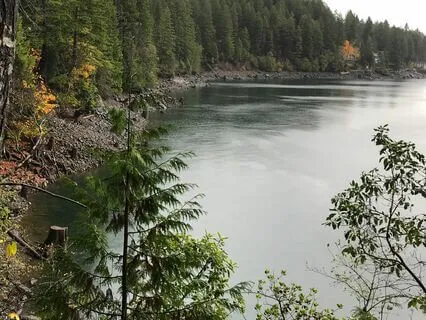 Zen Song - Leaf, Water, Wind