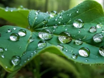 Zen Stories For Sleep: Volume 2 Of 9 - With Rain Sounds