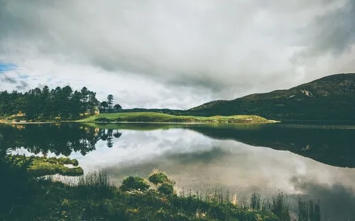 Zen Story - Maybe, Maybe Not