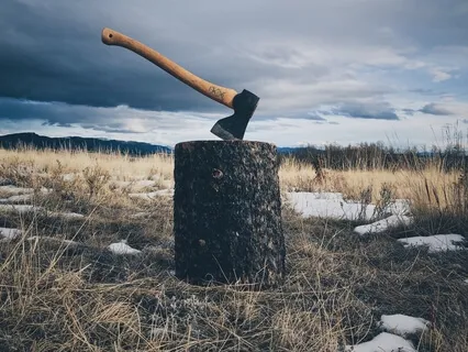 Zen Story: The Woodcutter