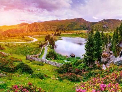 Zen Whispers: Gentle Anxiety Relief