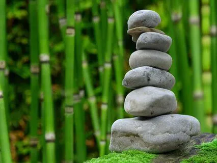 Zen Wisdom For Modern Life