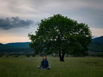 Zen Zone: Calm Your Mind And Body