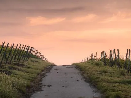 ZenByte: Meditation Is More Than That