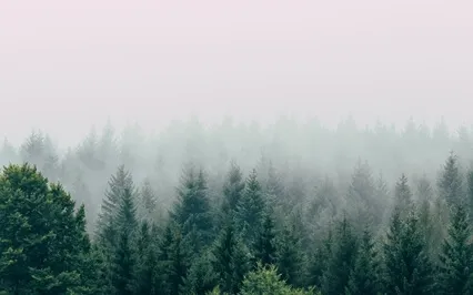Zero Gravity Healing - Long Version 5 Min Facing End For Sleep