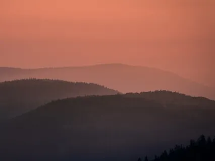 Zero In (For Beginners)