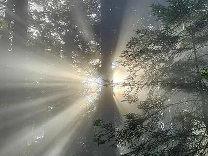 Zero Point Reset Meditation