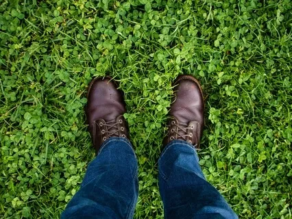 Zero State: Feel More Free Present & Grounded Now