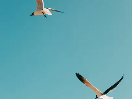 Analysis Paralysis - How To Heal & Evolve Faster