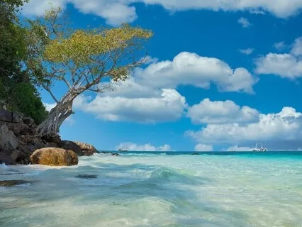 朝晩の瞑想エクササイズ（１８分）