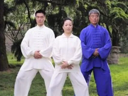 ZhiNeng Qigong Level One + 3 Centers Merge