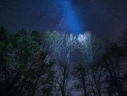 助眠全身掃描放鬆練習