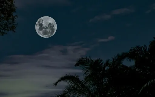 Zodiac Singing Bowls: Calm Down, Gemini! 