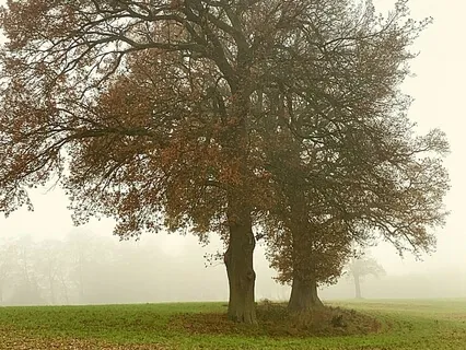 Zone 9 Of The Met Line - A Sweet Song About Surprises