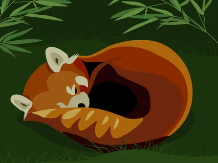 Zoo Story (Part 2) - Kelti & The Red Panda