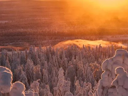 Zoom Out To See The Bigger Story