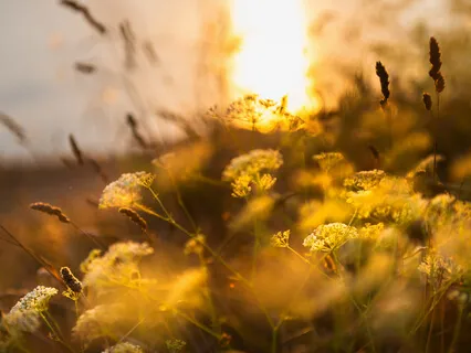 Zooming Out - Cosmic Meditation