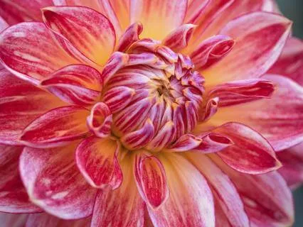 Zweinsamkeit Without Presence