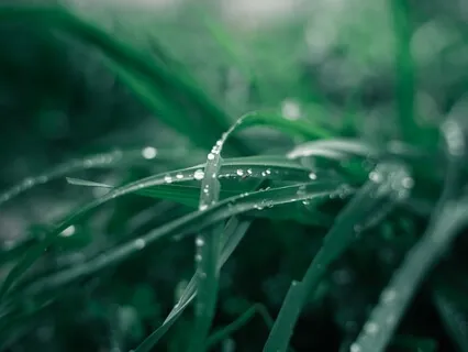 The Throat Chakra #5