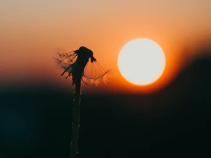 The Sacral Chakra #2
