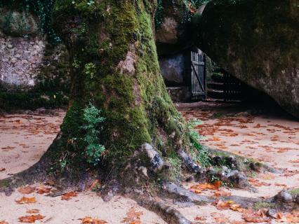 Meditation For Grounding & Relaxation