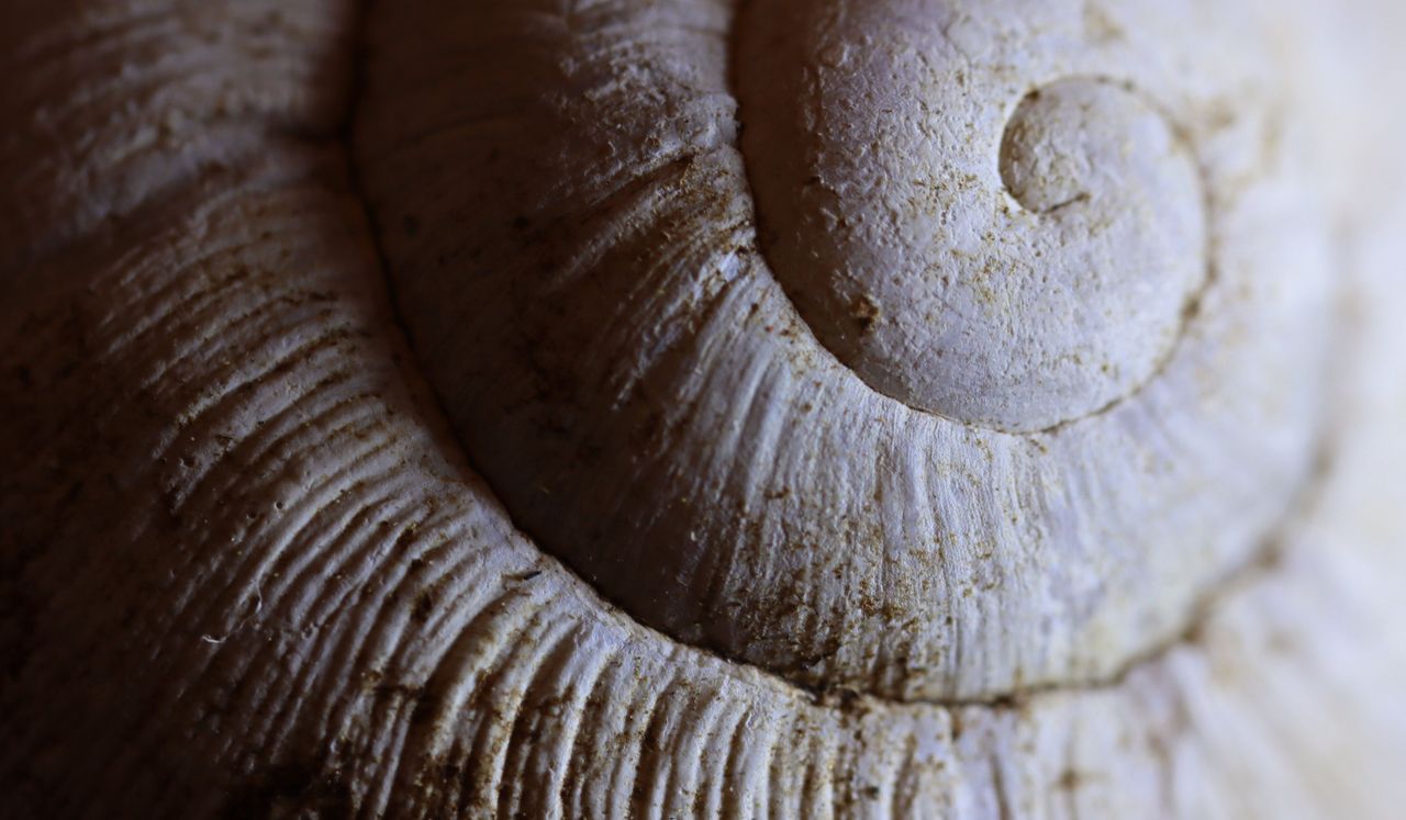 ADHD Focus Music | ADHD Hyperfocus Stimulation