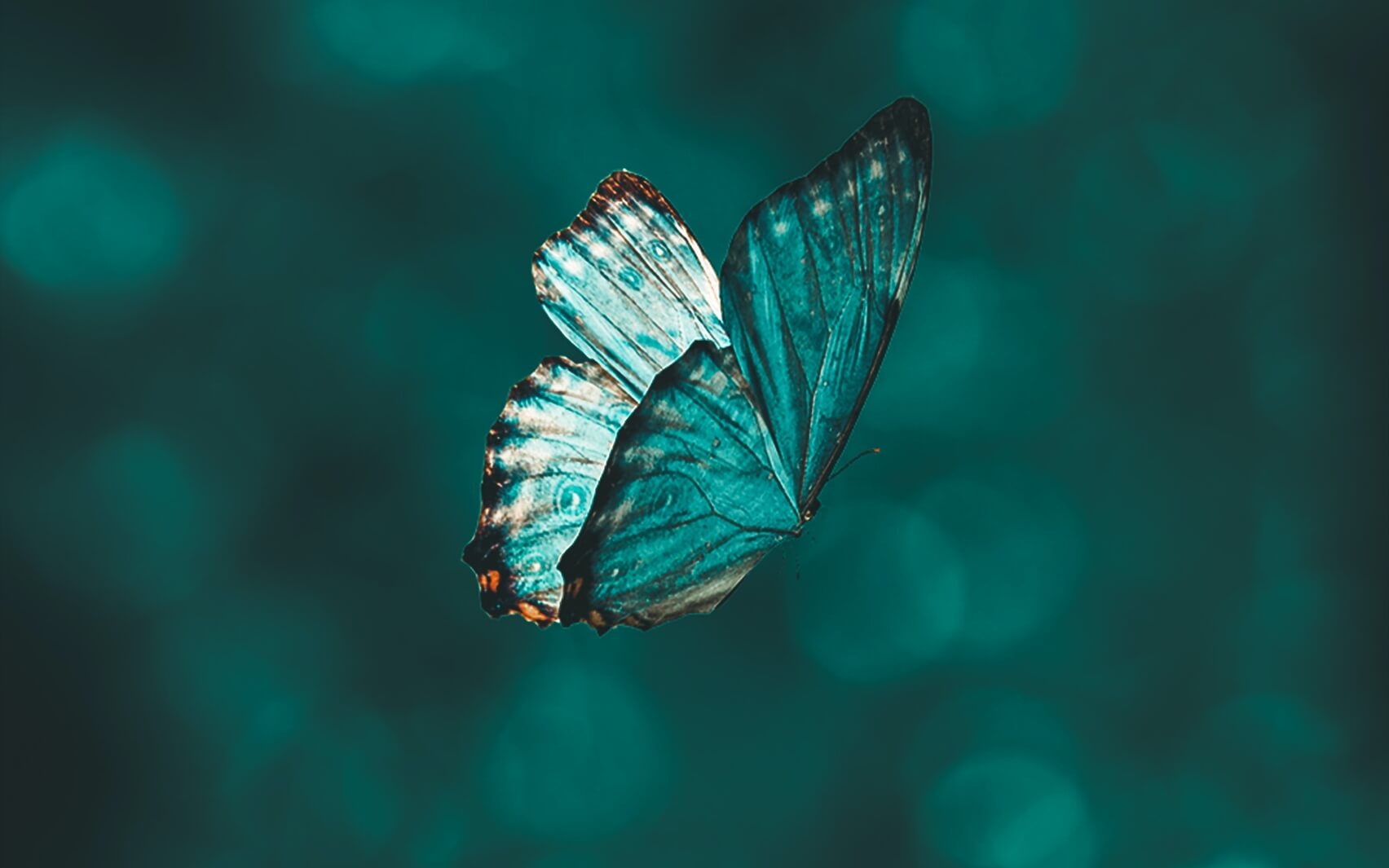 Breathwork & Affirmations To Manifest Your Best Life